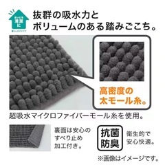 ニトリ 太モールバスマット(50x35 DGY YA001)の画像