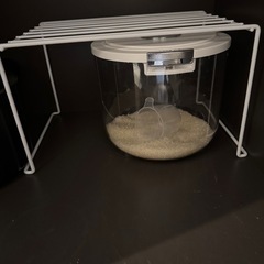 【取引中　
無料・キッチン用品セット】米びつ・ザルボウル・MUJI食器3点・22cm深型鍋の画像