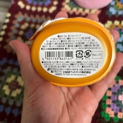 猫🐱ウエットフード 1点の画像