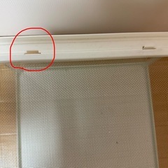 小型爬虫類ガラスケージの画像