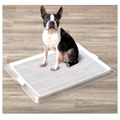 ペットトレー ワイドの画像