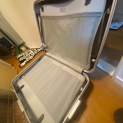 キャリーケース　Protec A 大きなサイズ旅行用などに♪の画像