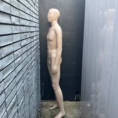 男性マネキン 全身マネキン メンズ 男性用 プラスチック製 店舗 ディスプレイの画像