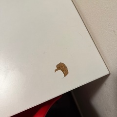 MELLTORP メルトルプの画像