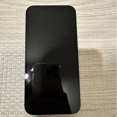iPhone 12 Pro Max 256GB パシフィックブルー 美品 純正バッテリー交換済み 最大容量100% 動作良好 即取引OK！の画像