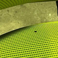 オフィスコム オフィスチェア「コレガ」肘無　②の画像