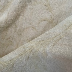 毛布　タオルケットの画像