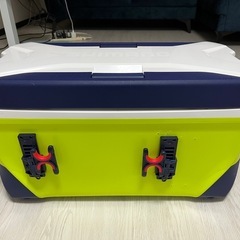 まとめての画像