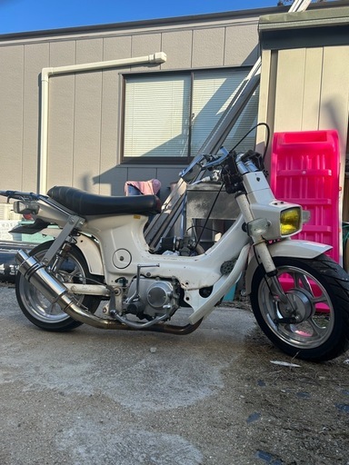 シャリー50