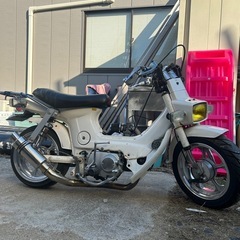 シャリー50の画像