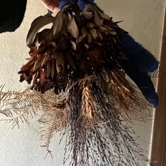 ドライフラワーの画像