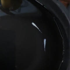 鱗緑メダカ　雲州幹之フルボディの画像