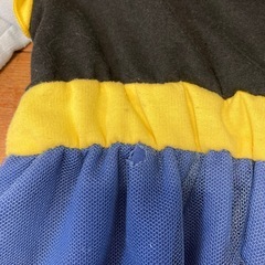 アナ雪のワンピースの画像