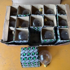 【GO-1582】ランプ セット 岩崎電気 TOKI 太陽技研の画像