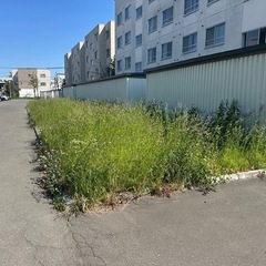 一緒に働く仲間を大募集♪（草刈り、内装解体、除雪等）の画像