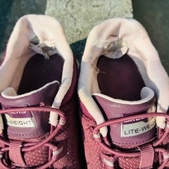 スケッチャーズ靴23.5㌢の画像