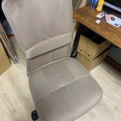 ドウシシャ カリーノ メッシュチェア 腰当てクッション付き ランバーサポート 事務用 仕事用 椅子 オフィスチェア デスクチェア PC パソコンチェア ベージュの画像