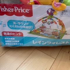 フィッシャープライス　レインフォレスト・デラックスジムの画像