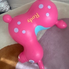 rody ロディの画像