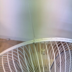 【決まりました】扇風機の画像