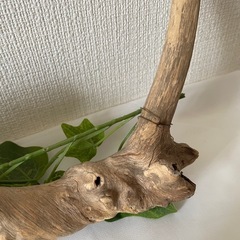 流木　ウェルカムボードの画像