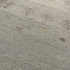 ホットカーペットの画像