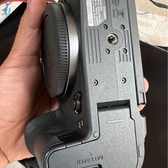 Canon eos R7 
の画像