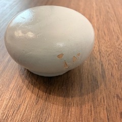 ★ HOPPL★箱付き木製ベビージムの画像