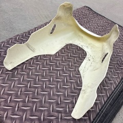 汎用アンダーカウルの画像