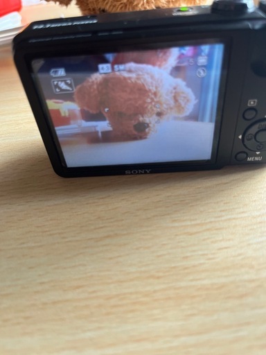 家電 SONY Cyber-shot DSC H55