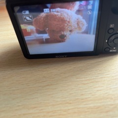 SONY Cyber-shot DSC H55の画像