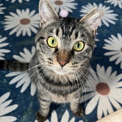 人大好き♡超甘えん坊♡里親募集中