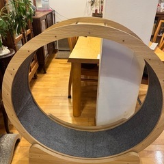 キャットホイール   猫ランニングマシーン  クルクルの画像