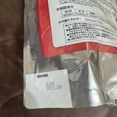 ひかり　ハリネズミの画像