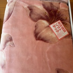 毛布シングルサイズの画像