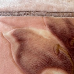 毛布シングルサイズの画像