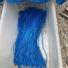 シート紐青1200本の画像