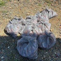 無料！割れた瓦100枚以上、他レンガ　追加ありの画像