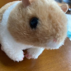 動物のぬいぐるみやグッズ　の画像