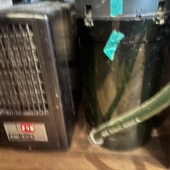 海水魚、機材フルセット！の画像