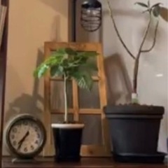 木製メッシュデザインのアンティーク雑貨　ヴィンテージ金網フレームの画像