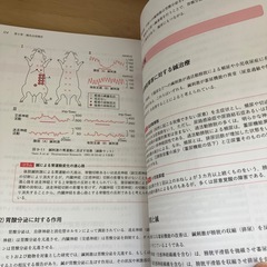 はりきゅう理論　　第3版の画像