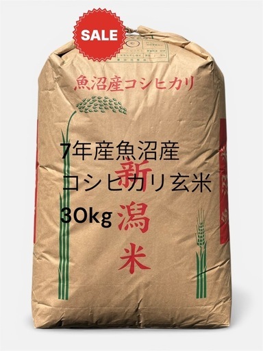 7年産魚沼産コシヒカリ 玄米一等30kg  