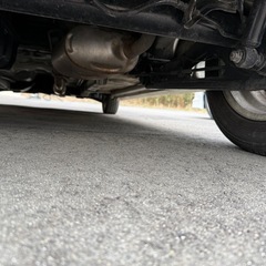 スティングレーの画像