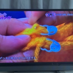 テレビの画像