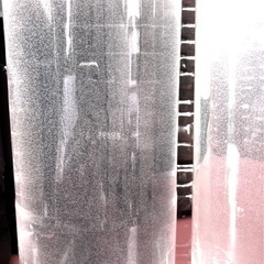 🌸春〜コレが本物ゾウリムシ《500ml =⒊本 》メダカ👀ぐんぐん〜‼︎の画像