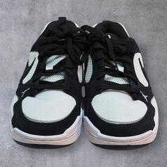 【展示品】NIKE ナイキ ジョーダン コンフォート エラ 28cmの画像