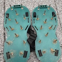 ガーデンスパイクの画像