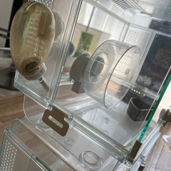 グラスハーモニー⭐︎ゲージの画像