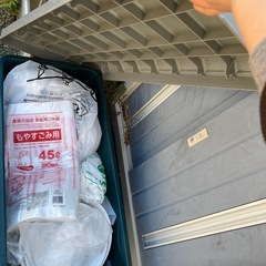 大きいなケースの画像